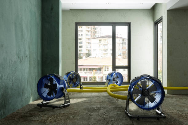 Trusted Cresco, IA Water damage restoration Experts