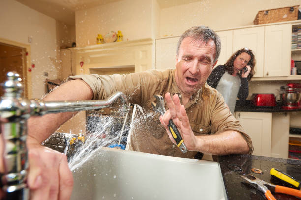 Best Flood restoration services  in Cresco, IA
